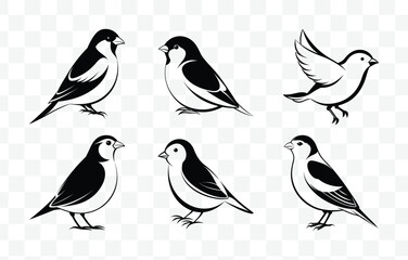 Print Finch Line Art Vector Set Elegant and Detailed Illustrations for Graphic Design and Creative Projects