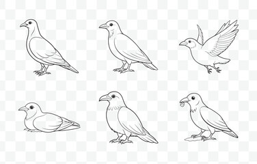 Print Chough Line Art Vector Set Featuring Detailed Illustrations of the Unique Mountain Bird