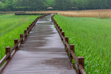 Fototapeta premium wooden bridge over the river