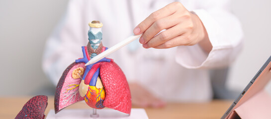 Doctor point Smoker Lung anatomy for Disease. Lung Cancer, Asthma, Chronic Obstructive Pulmonary or COPD, Bronchitis, Emphysema, Cystic Fibrosis, Bronchiectasis, Pneumonia and September world Lung day