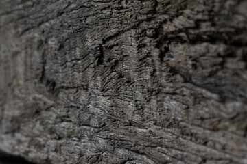Close up texture of rustic weathered wooden railway sleeper used for garden bed
