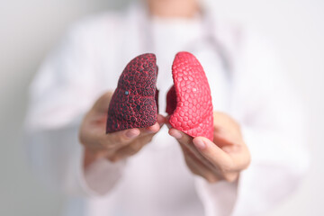 Doctor with Smoker and normal Lung anatomy for Disease. Lung Cancer, Asthma, Chronic Obstructive...