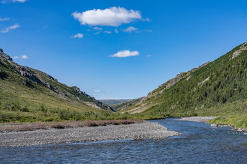 Savage River is one of several braided rivers in Denali that are characterized by transitory channels meandering across wide beds of sediment over time.  Alaska