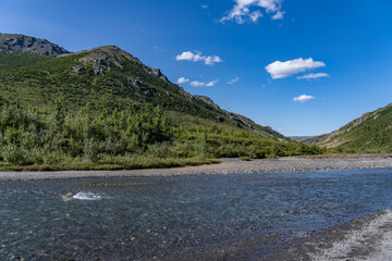 Savage River is one of several braided rivers in Denali that are characterized by transitory channels meandering across wide beds of sediment over time.  Alaska