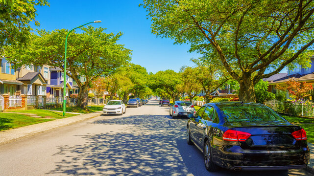 Mature trees lining a street in the Burnaby, BC, community of Willingdon Heights on a sunny summer day.