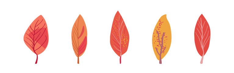 Set of autumn plants folk. Pink and yellow trees. Simple colorful leaves with spotted texture on a white background. Hand drawn. Isolated Flat vector