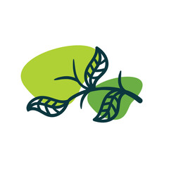 Leaves design elements - Vector illustration leaf shapes in  green colours on white background