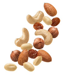 Almond, hazelnut, peanut, cashew nut and raisins flying isolated on white background. Vertical layout