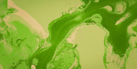 Technicolor Wonderland Revealed: Step into a Quirky and Playful World of Abstract Geometric Shapes...