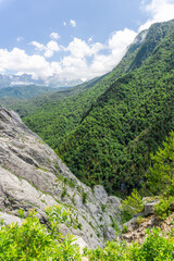 Gorge between a rock and a mountain covered with trees and bushes. Snowy mountain range, blue sky with clouds in the background