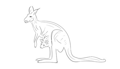Kangaroo cartoon vector hand drawn. kangaroo line drawing. australian animal. sketch of kangaroo. vector illustration