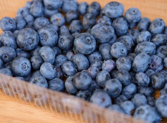 Ripe organic blueberries in a plastic container.