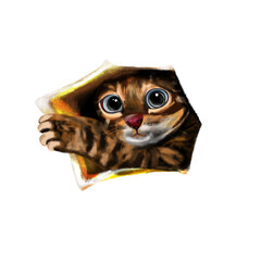Drawing of a cute cat looking out