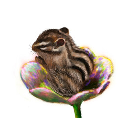 Drawing of a little chipmunk sitting in a flower