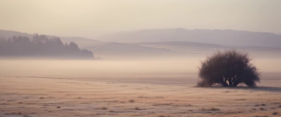 Misty morning landscape with lone tree in soft light at dawn, ultrawide