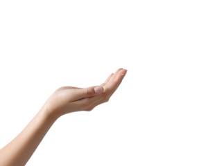 Hands holding something, isolated on a transparent or white background.