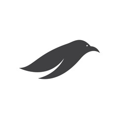 Bird illustration