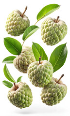 Fototapeta premium Sugar apples on white background, Clipping path