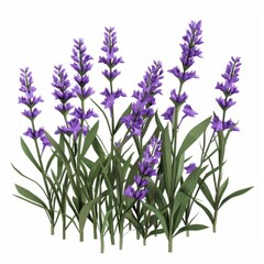Obraz premium 3D Render, Low Poly style of lavender flowers, on isolated white background, Generative AI