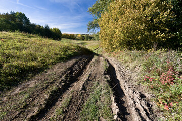 Obraz premium Jesień