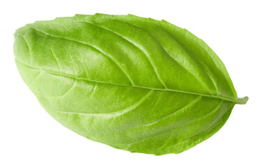 Obraz premium Basil leaf isolated on white background. Macro. clipping path