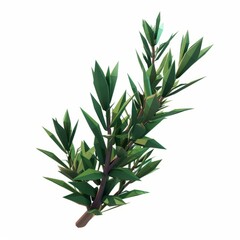 Obraz premium 3D Render, Low Poly style of rosemary sprig, on isolated white background, Generative AI