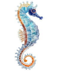 sea ​​horse element design, watercolor style.