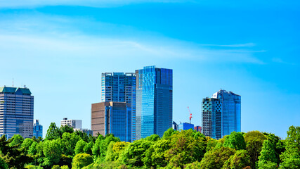 Fototapeta premium 東京都心部のスカイライン