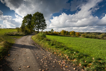 Polna droga © Robert