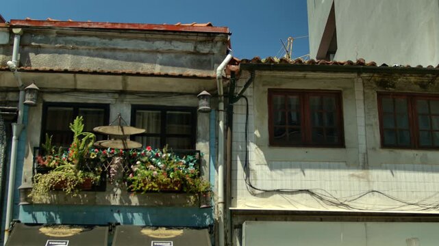 A static shot of a small balcony with lots of plants on it.