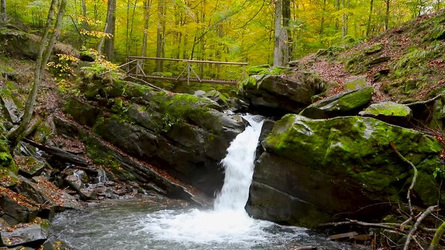 Waterfalls in the autumn beech forest. Carpathians, Ukraine.