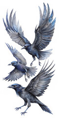 Obraz premium crows flying in dynamic formation against a blurred forest background.