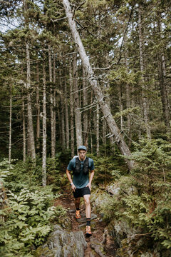 Fit male hiker walking the 100 mile wilderness Appalachian Trail