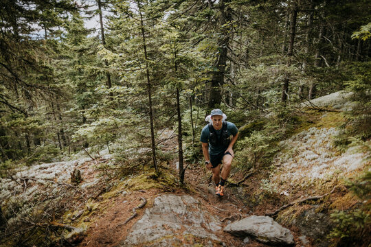 Male hiker walks along trail through woods, Appalachian Trail, Maine