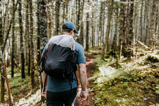 Hiking through thick forest in 100 mile wilderness Appalachian Trail