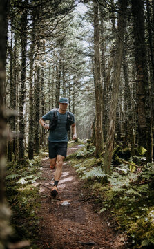 Man trail runs along forested section of Appalachian Trail in Maine
