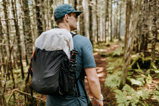Man hikes through thick forest on Appalachian Trail in Maine
