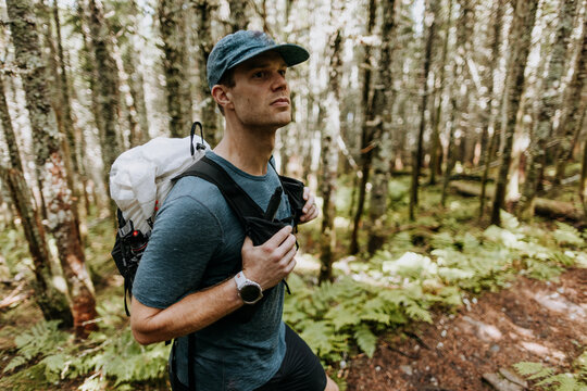 Male hiker with pack pauses while walking Appalachian Trail, Maine