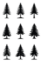 Pine trees silhouette set. Black silhouettes of pine trees on white background. Vector illustration