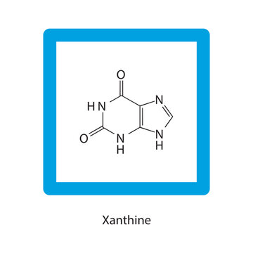 Xanthine skeletal structure schematic illustration, nucleobase molecule.