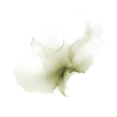 Sage ink splash on transparent background