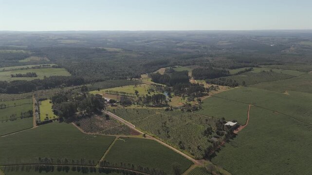 High altitude and distancing aerial movement about the local golf club and green tea fields, Argentina.