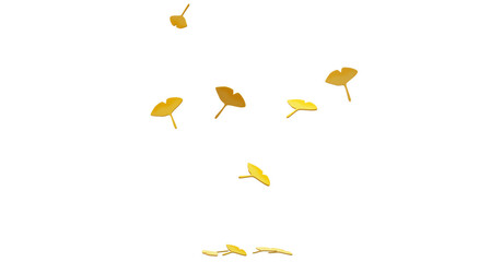 입체 낙엽 이미지 