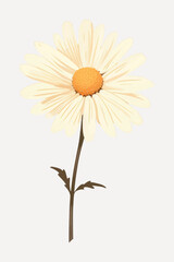 Elegant daisy flower illustration