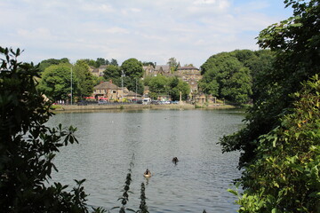 Lake View With Wild Ducks