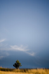 Pomorski krajobraz © Robert