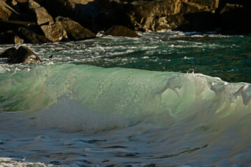 Surf wave illuminated by the evening sun