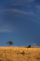 Pomorze