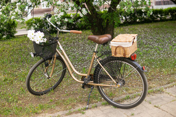Fototapeta premium A beautiful retro bike with a wicker basket stands next to a blooming apple tree in the park.