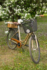 Fototapeta premium A beautiful retro bike with a wicker basket stands next to a blooming apple tree in the park.